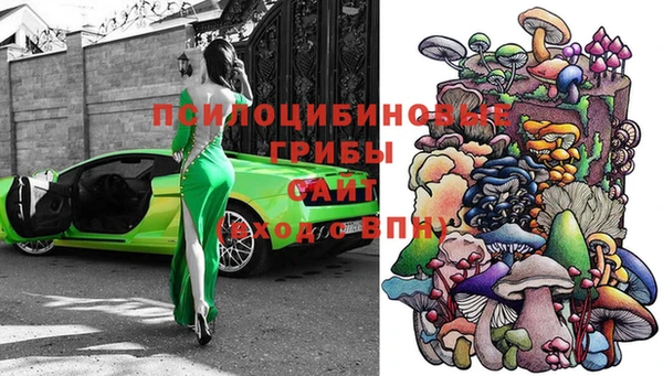гашик Абинск
