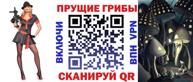 Псилоцибиновые грибы Psilocybine cubensis  Магадан 